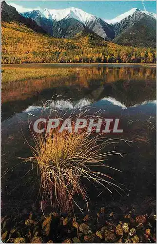 Cartes postales moderne Russie