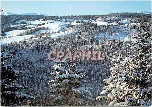 Cartes postales moderne Norway Winter in Norway