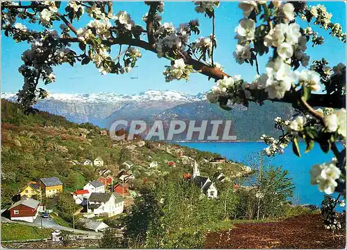 Cartes postales moderne Norge Utne Hardanger