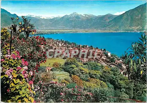 Cartes postales moderne Locarno Lago Maggiore Vue generale prise de Orselina