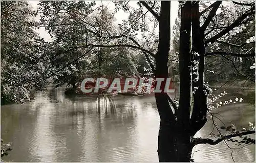 Cartes postales moderne Gartenstadt Landau Pfalz Am Schwanenweiher