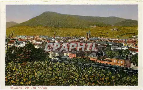 Cartes postales Neustadt an der Haardt