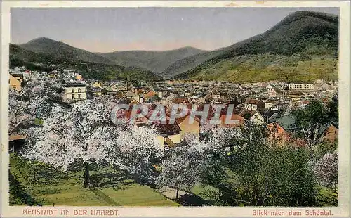 Cartes postales Neustadt an der Haardt Blick nach dem Schontal