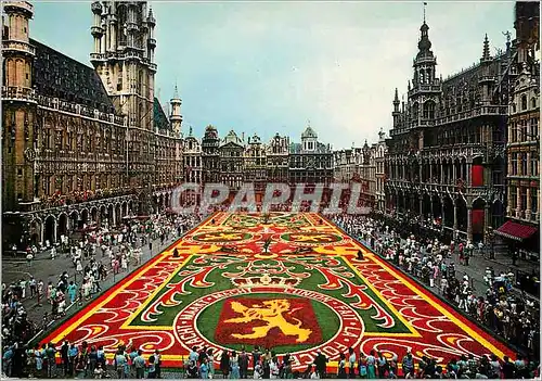 Cartes postales moderne Bruxelles grand place tapis de fleurs