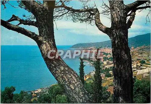 Cartes postales moderne San Remo Riviere des fleurs Panorama