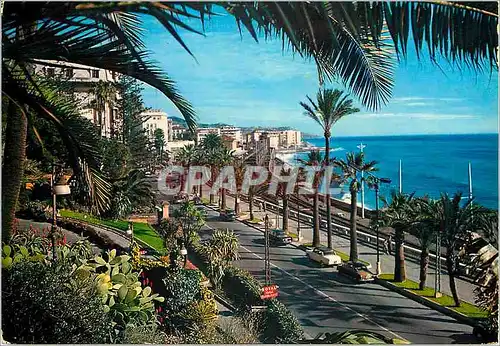 Cartes postales moderne San Remo Riviera dei Fiori