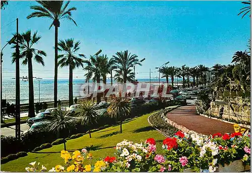 Cartes postales moderne San Remo Riviera dei Fiori