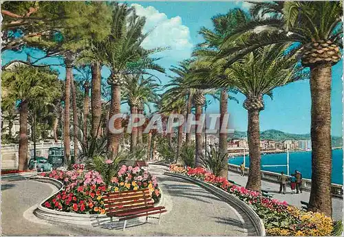 Cartes postales moderne San Remo Riviera dei Fiori