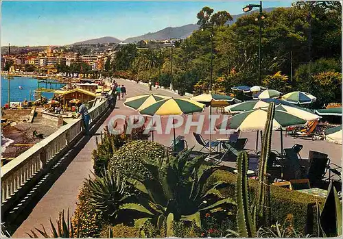 Cartes postales moderne San Remo Riviera dei fiori Promenade Trente et Trieste Cote des Fleurs