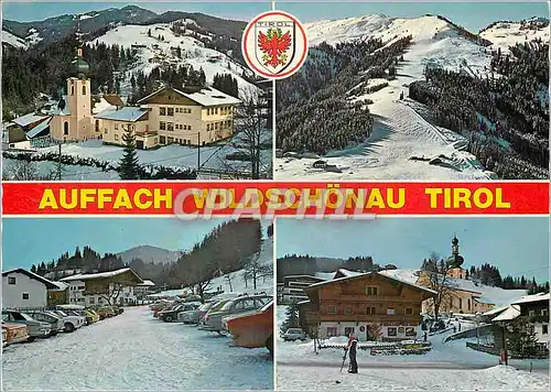 Cartes postales moderne Winter und sommererholungsort auffach wildschonau 869 m