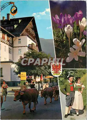 Cartes postales moderne Tirol viehtrieb Vaches