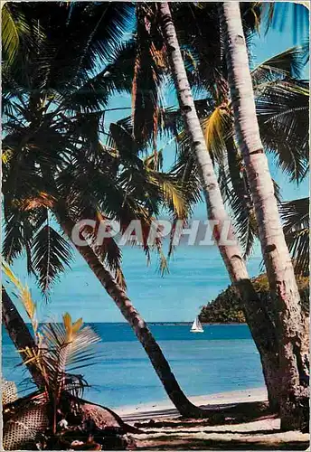 Cartes postales moderne Senegal Plage de cocotiers