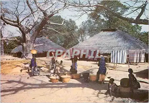 Cartes postales moderne Senegal Village de Casamance