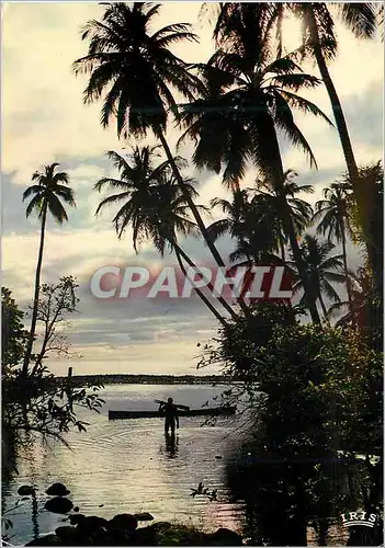 Cartes postales moderne Senegal Contre jour