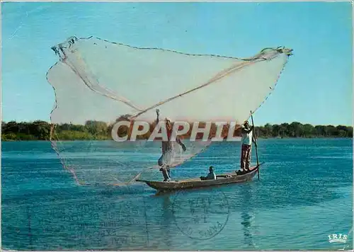 Cartes postales moderne Senegal Scene de peche