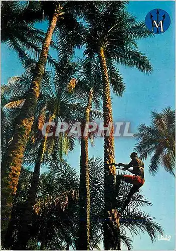 Cartes postales moderne Senegal Pirogue au soleil couchant