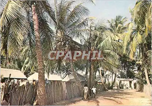 Cartes postales moderne Senegal Vue de Joal