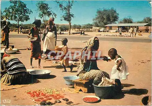 Cartes postales moderne Senegal Marche Africain