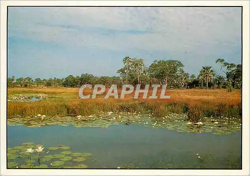 Cartes postales moderne Senegal Verte Casamance