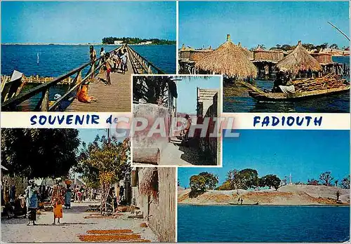 Cartes postales moderne Senegal Fadiouth