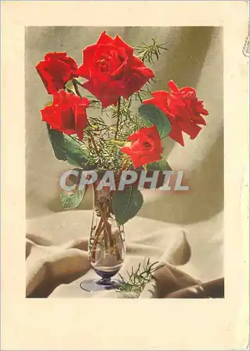 Cartes postales moderne Fleurs