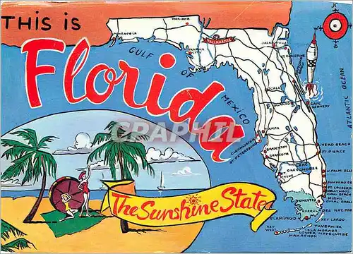 Cartes postales moderne Florida