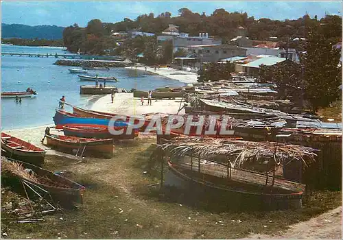 Cartes postales moderne Martinique Sainte-Anne village