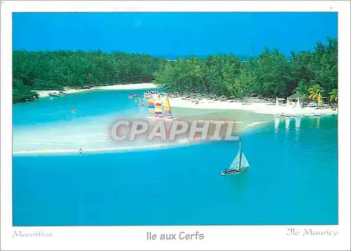 Cartes postales moderne Ile Maurice Ile aux Cerfs
