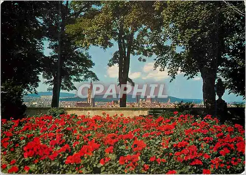 Cartes postales moderne Blick vom Rosengarten