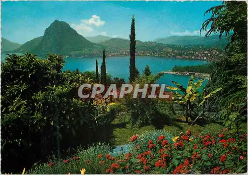 Cartes postales moderne Lugano Lago di Lugano Monte S Salvatore visto de Castagnola Blick von Castagnola auf den Luganer