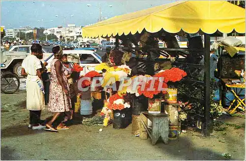 Cartes postales moderne Vendedoras de Flores Dominicanas Santo Domingo Rep Dominicana