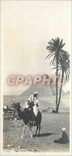 Cartes postales Egypte La Pyramide de Cheops