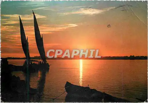Cartes postales moderne Le Cairo Coucher de Soleil sur le Nil