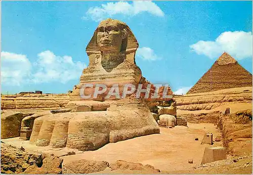 Cartes postales moderne Giza Le Grand Sphinx