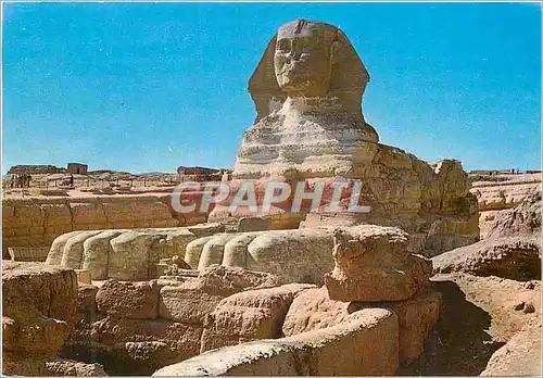 Cartes postales moderne Giza The Sphinx