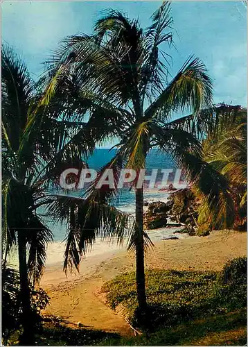 Cartes postales moderne Guadeloupe Place de Ferry