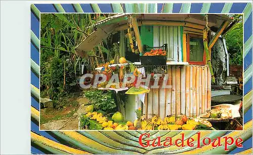 Cartes postales moderne Guadeloupe Petit marche local