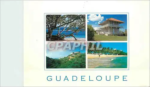 Cartes postales moderne Guadeloupe Antilles francaises Raisiniers sur la plage des Raisins Clairs Maison Zevalos au Moul