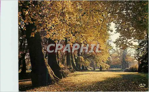 Cartes postales moderne Automne en Limousin Tu verses ta douceur pale soleil d automme