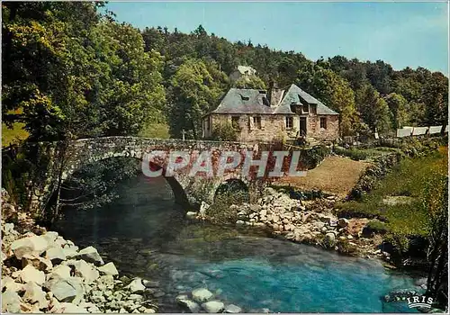 Cartes postales moderne Le Limousin Touristique Et le passant tout surpris decouvrait au sur du Chemin