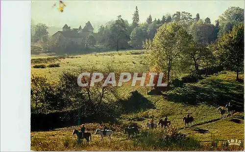 Cartes postales moderne Promenade Equestere en Limousin