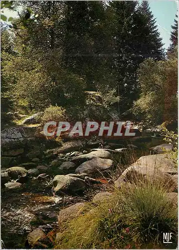 Cartes postales moderne Campagne Pittoresque Haute Vienne Nantiat