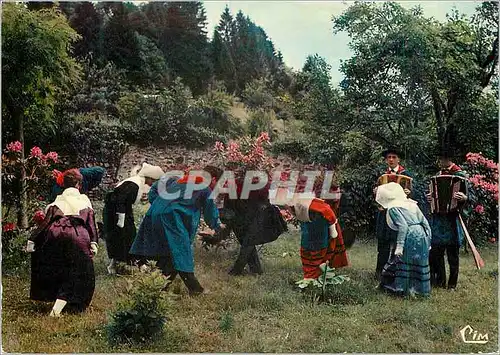 Cartes postales moderne Ambazac Hte Vienne Lou Gerbassou Danse La Maniguet Accordeon