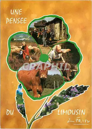 Cartes postales moderne Une Pensee du Limousin