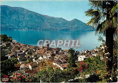 Cartes postales moderne Ascona Lago Maggiore