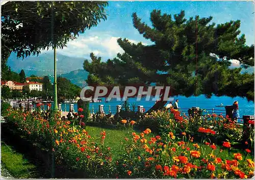 Cartes postales moderne Baveno Lago Maggiore