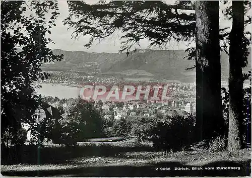 Cartes postales moderne Zurich Blick vom Zurichberg