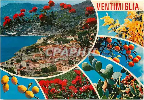 Cartes postales moderne Ventimiglia