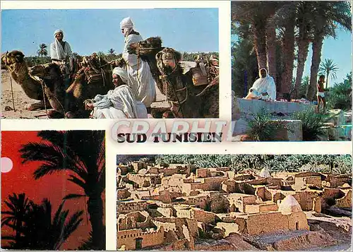 Cartes postales moderne Sud tunisien
