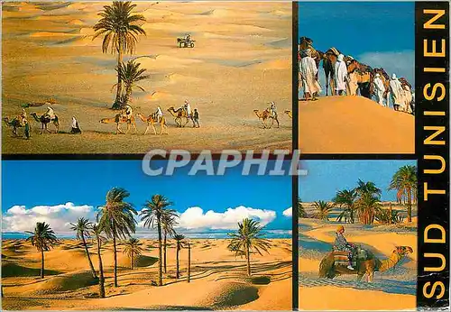 Cartes postales moderne Sud tunisien